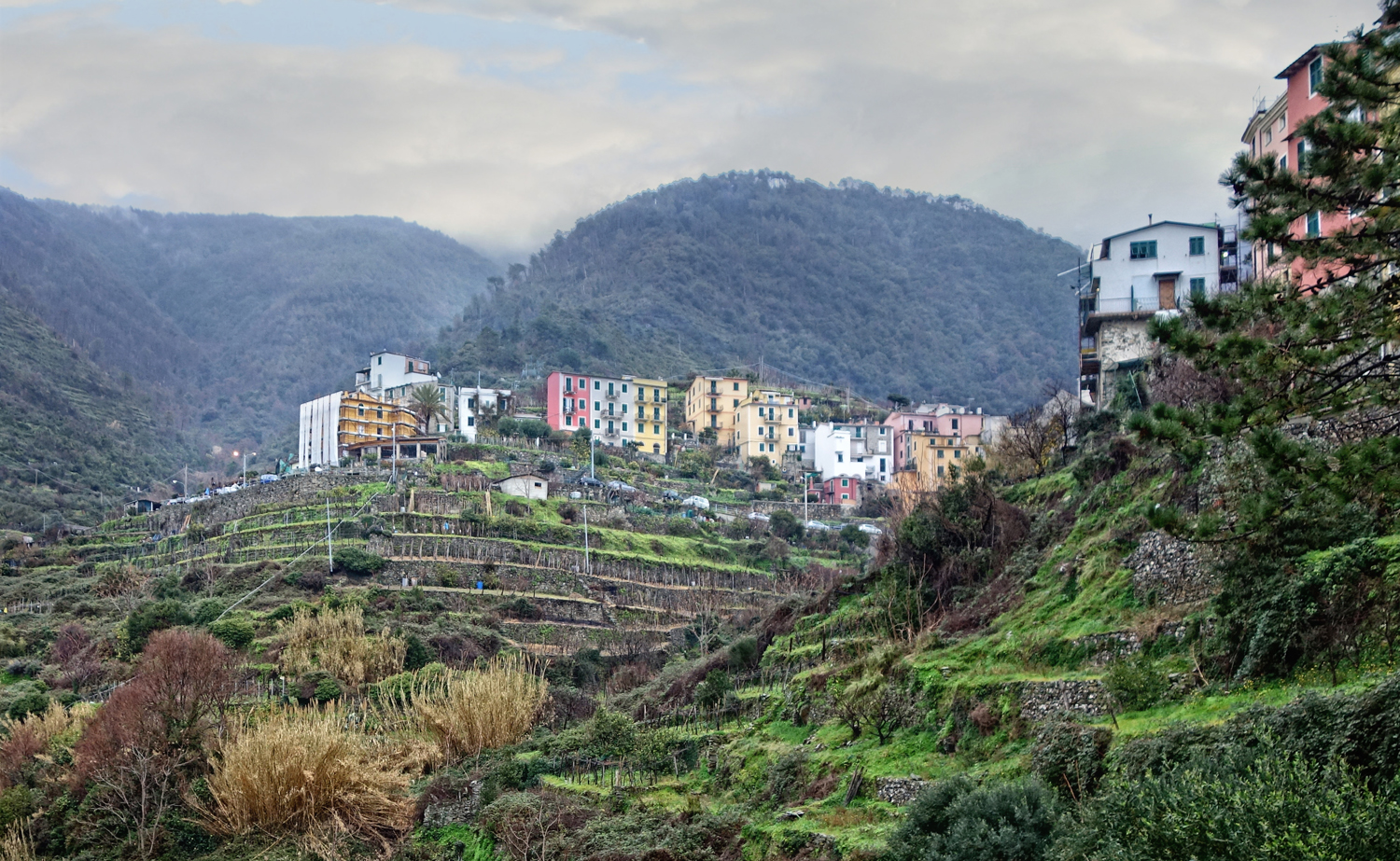 Cinque Terre Italy (15)
